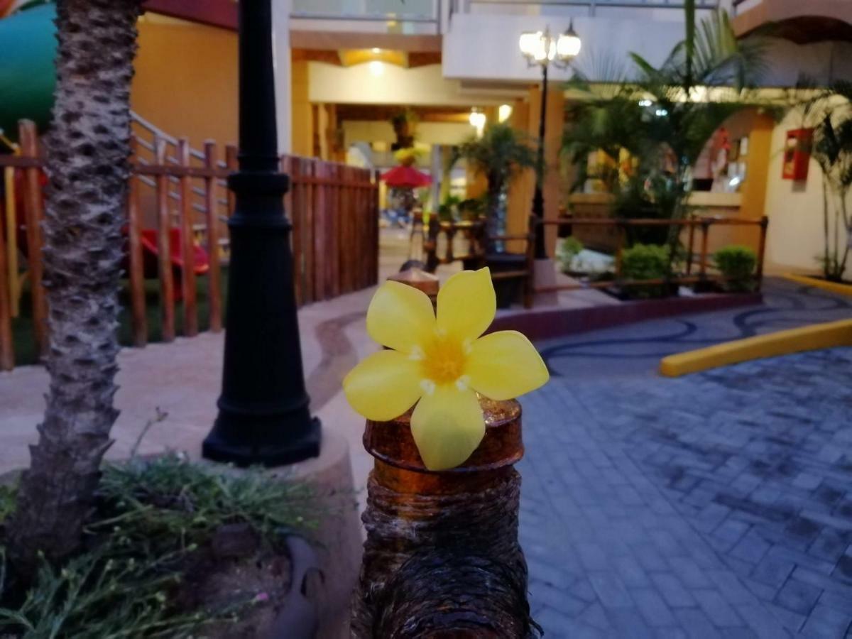 Marysol Las Palmas リンコン・デ・グアヤビトス エクステリア 写真